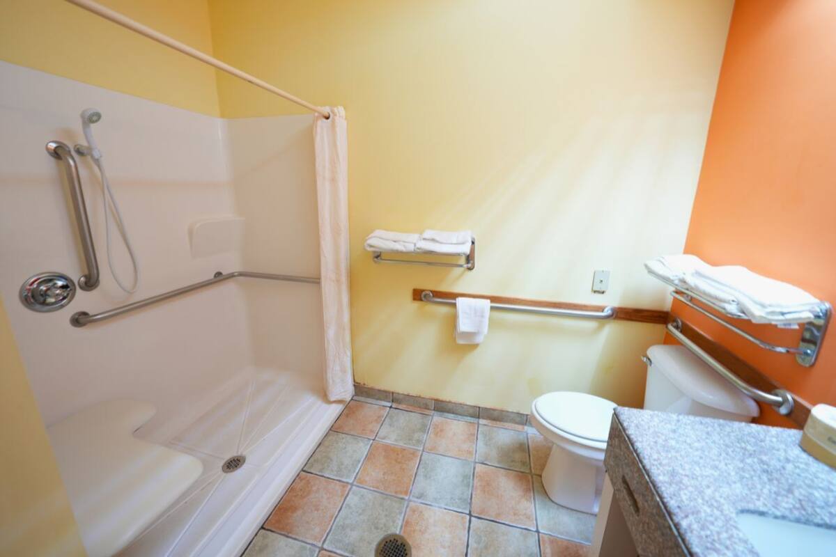 Een badkamer met douche, toilet en wastafel.