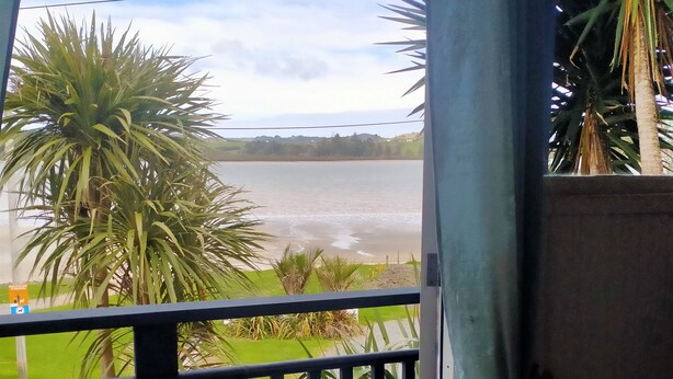 Een balkon met uitzicht op een meer, een palmboom en een gazon.