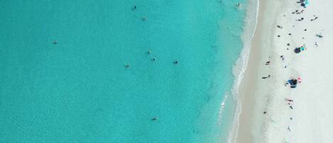 Una spiaggia nelle vicinanze