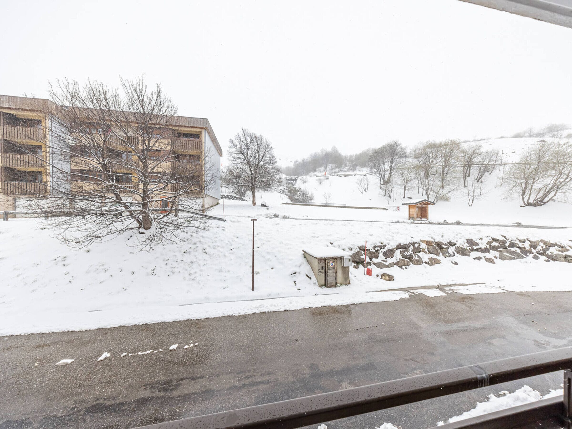 Winter view