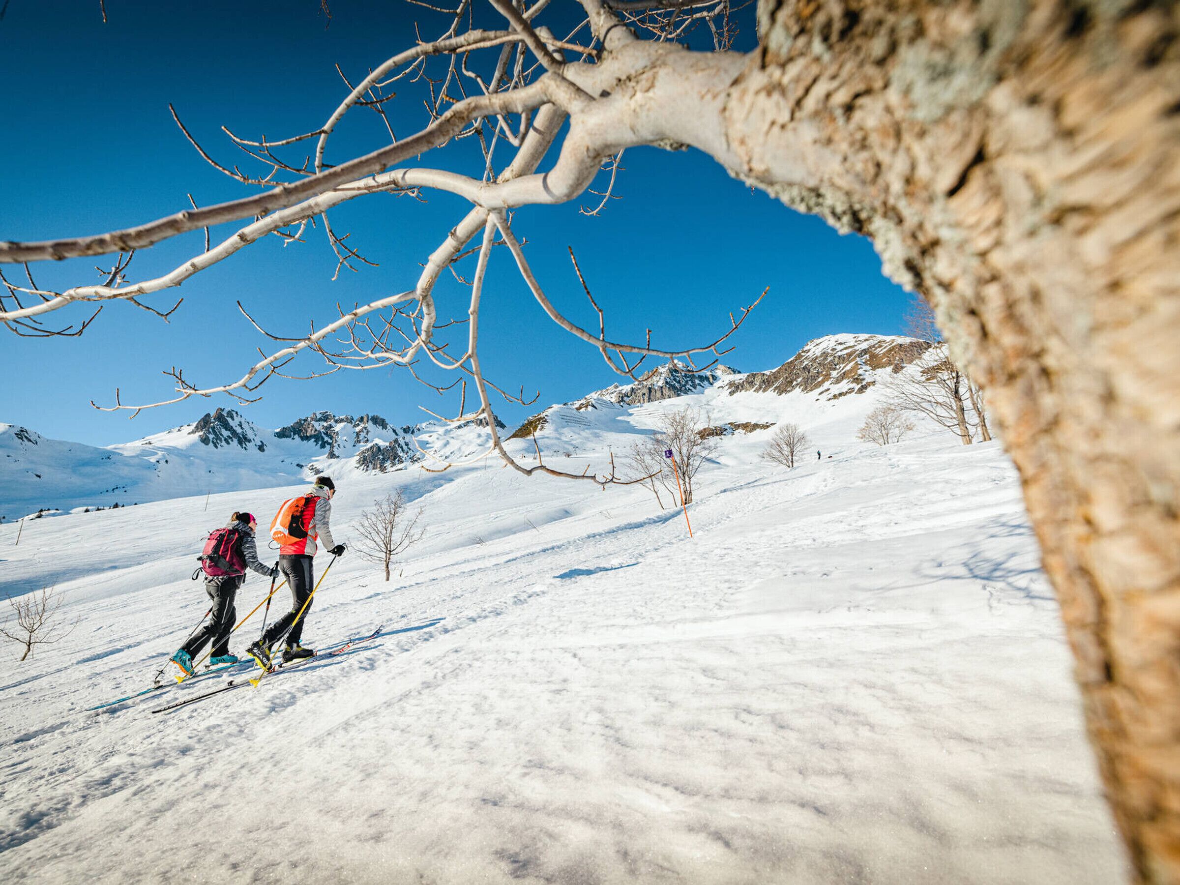 A snowy landscape with two skiers, a clear blue sky, and a mountain in the background.