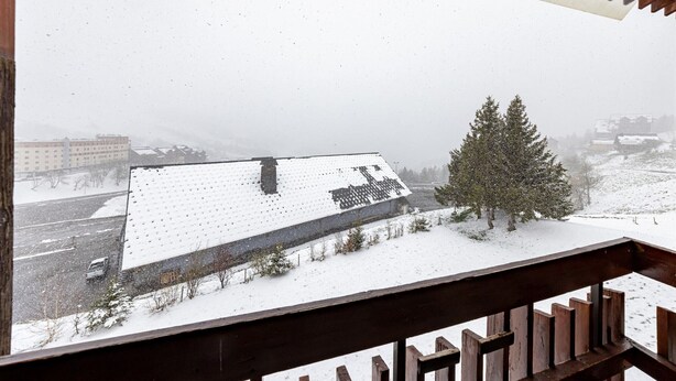 A snowy landscape with a building and a tree.