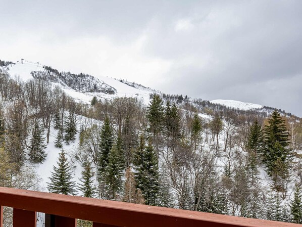 Property grounds - Comfortable apartment 7 ppl near slopes and shops (Saint-François-Longchamp)