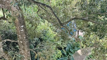 Jardín