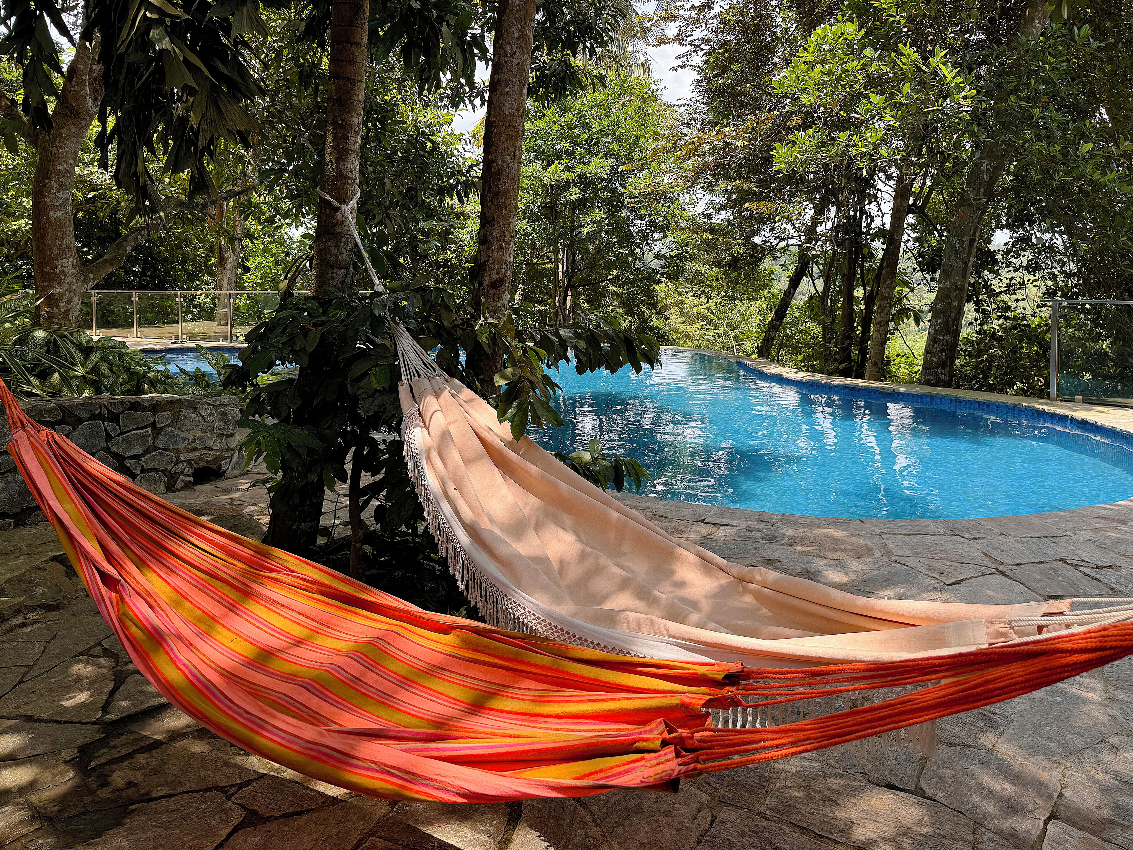 A hammock tied between trees near a swimming pool surrounded by lush greenery.