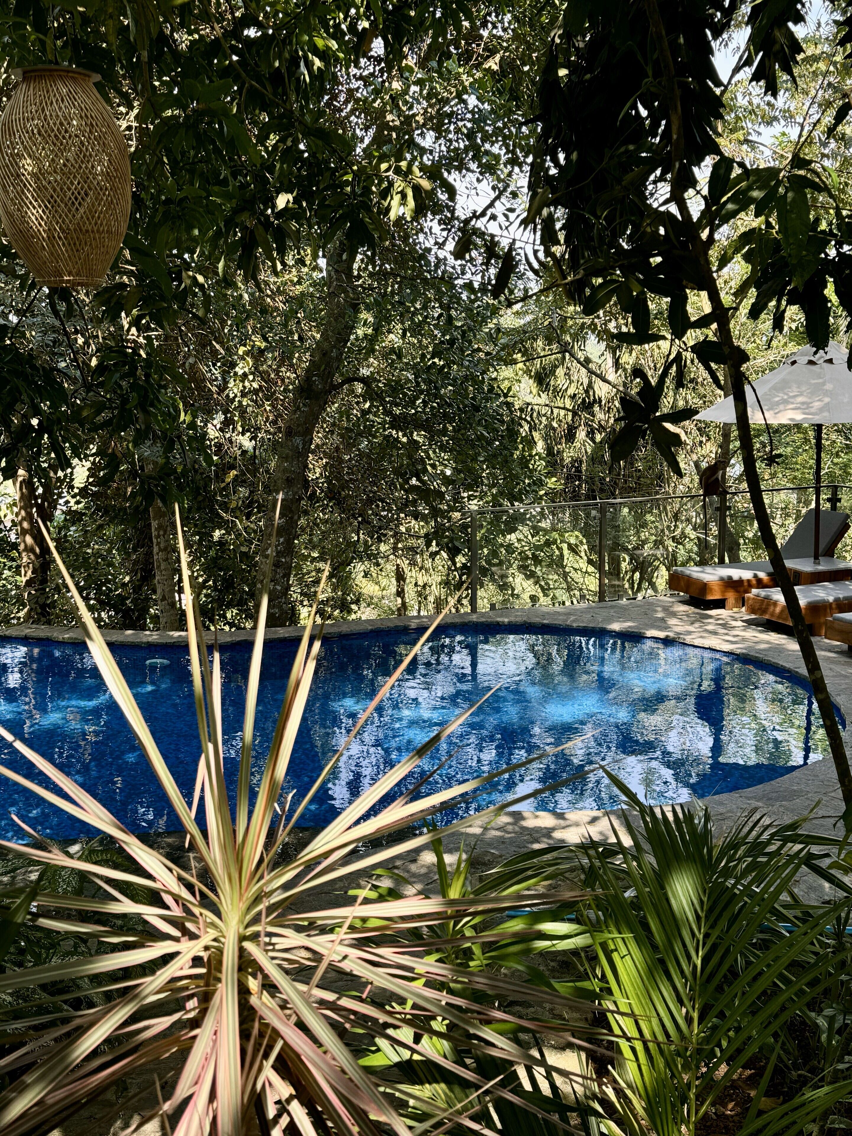 2 piscines extérieures