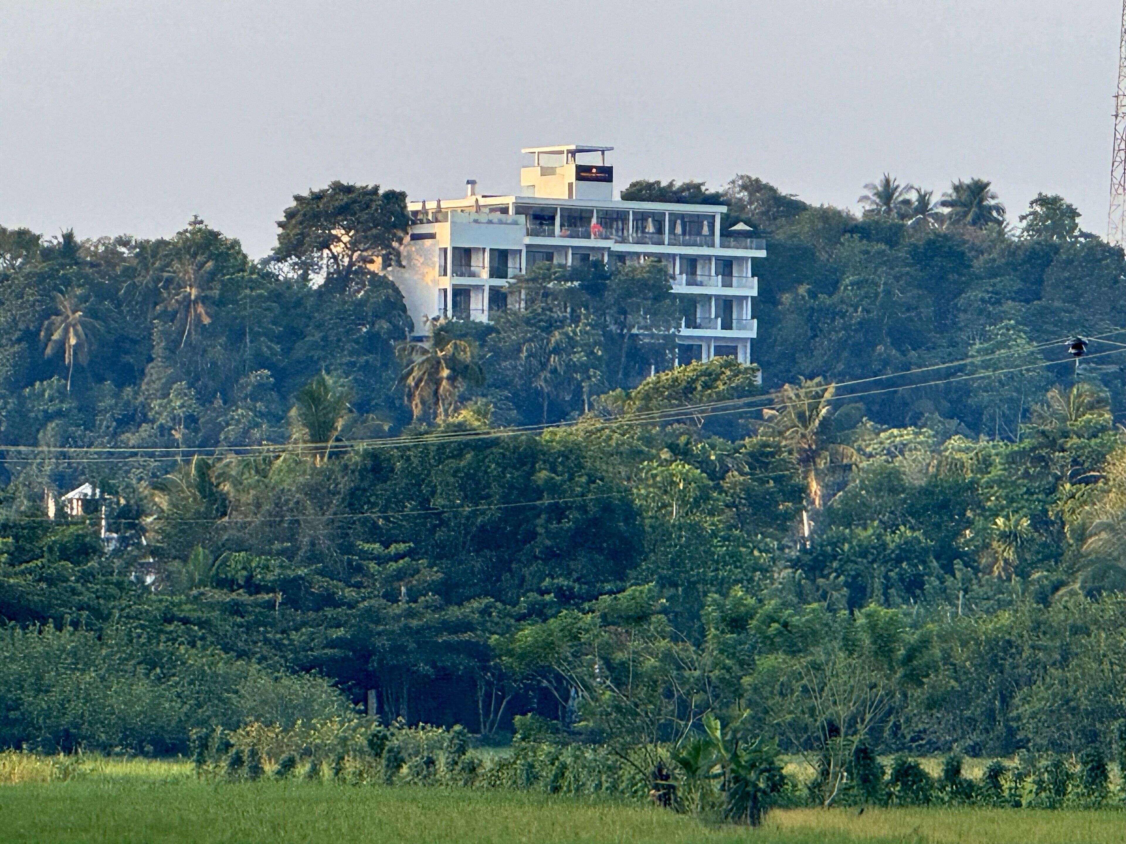 A multi-story building with balconies, surrounded by dense greenery and palm trees.
