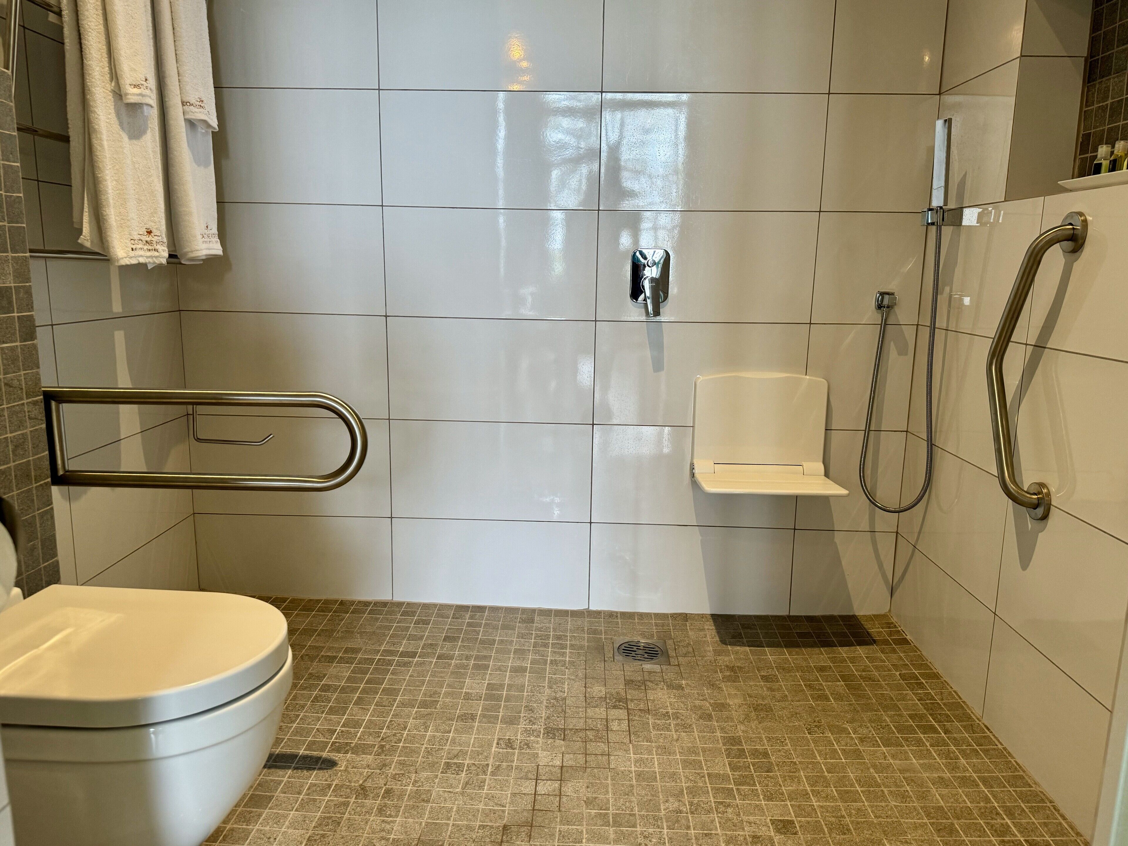 Een badkamer met toilet, douche met handdouche, een handgreep en een handdoekhouder.