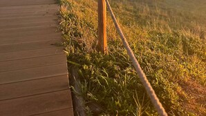 A wooden boardwalk leading to a grassy area with a rope barrier. - Luxury Apartments Collection - The Sand Suite (Passoscuro)