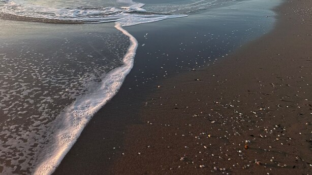 A beach with waves gently lapping onto the shore, a clear sky, and distant buildings. - Luxury Apartments Collection - The Sand Suite (Passoscuro)