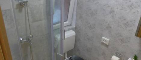 A bathroom with a glass shower enclosure, a toilet, and a sink.