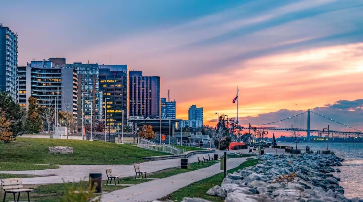 Imagen de perfil del propietario o de la propietaria