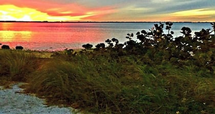 Brown Bunny BnB — Peaceful Retreat in Palmetto FL Outdoors WiFi AC