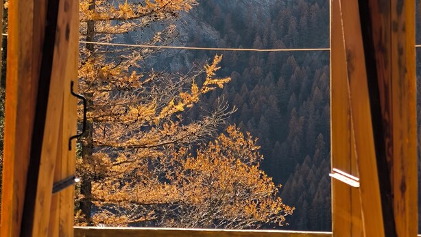 Eine Holzhütte mit Blick auf einen bewaldeten Berg.