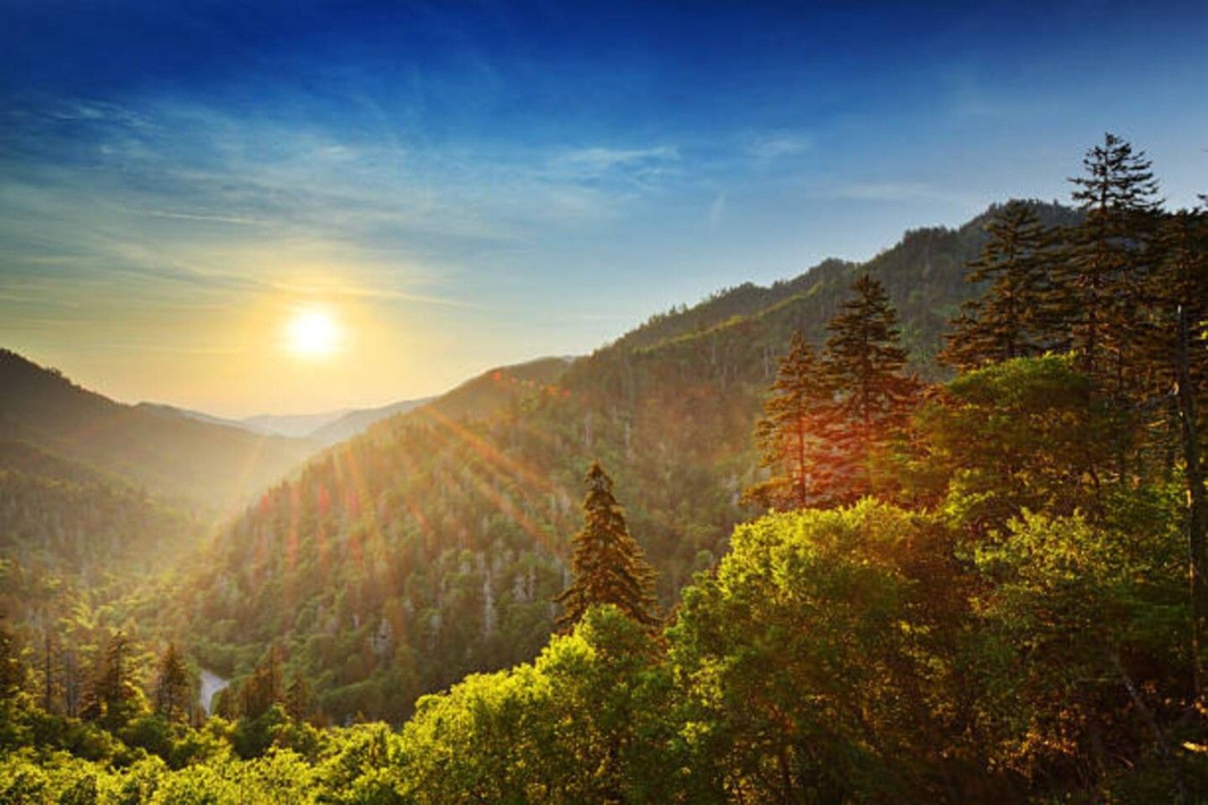 A mountainous landscape with a valley and dense forest.