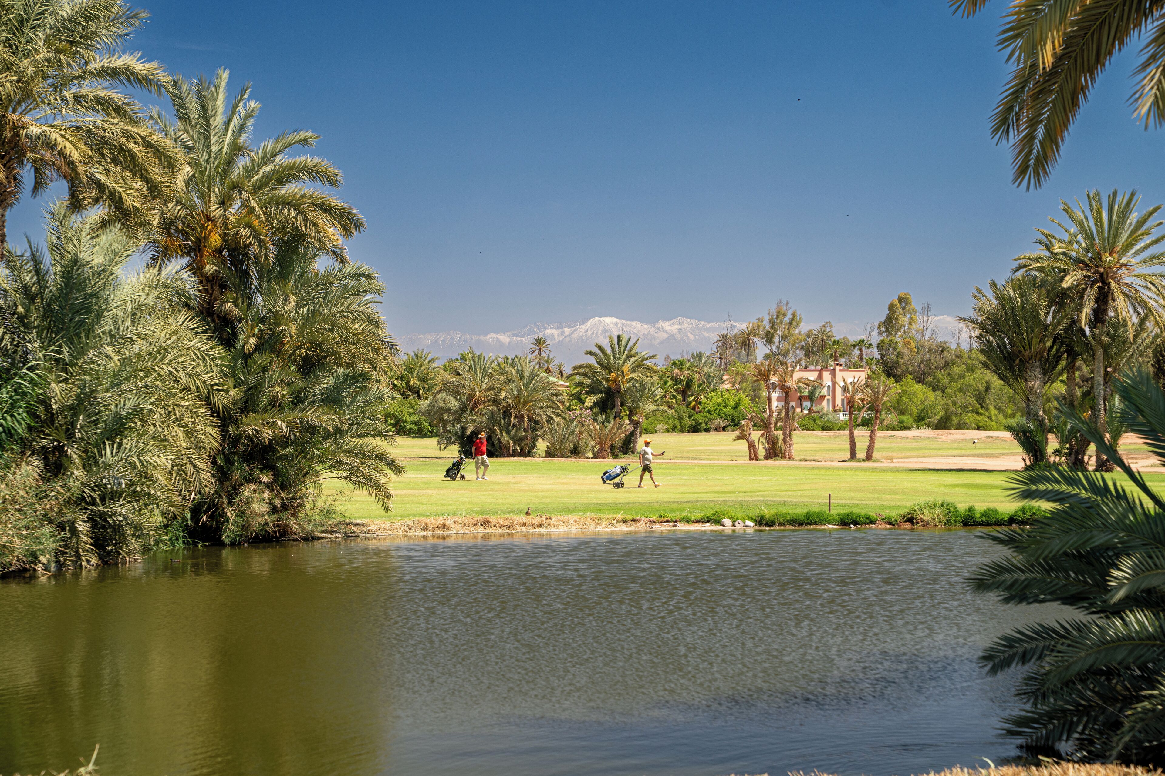 Un campo de golf con un estanque, palmeras y una montaña al fondo.