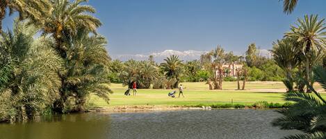 Un campo de golf con un estanque, palmeras y una montaña al fondo.