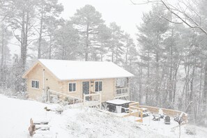 Exterior - Cabin, Hot Tub, Fire Pit, 4 miles to Downtown AVL (Asheville)