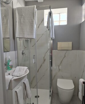 Hair dryer, towels, soap, shampoo
