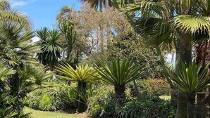 A lush garden with various tropical plants and trees, including palm trees and agave plants. - Cozy Garden Apartment by Sea (Estepona)