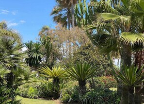 Vue depuis l’hébergement