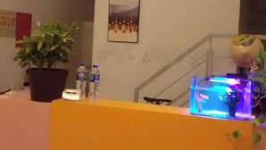 Ein Empfangsbereich mit Zimmerpflanze, Wasserflaschen, gerahmten Kunstwerken und einer Treppe.