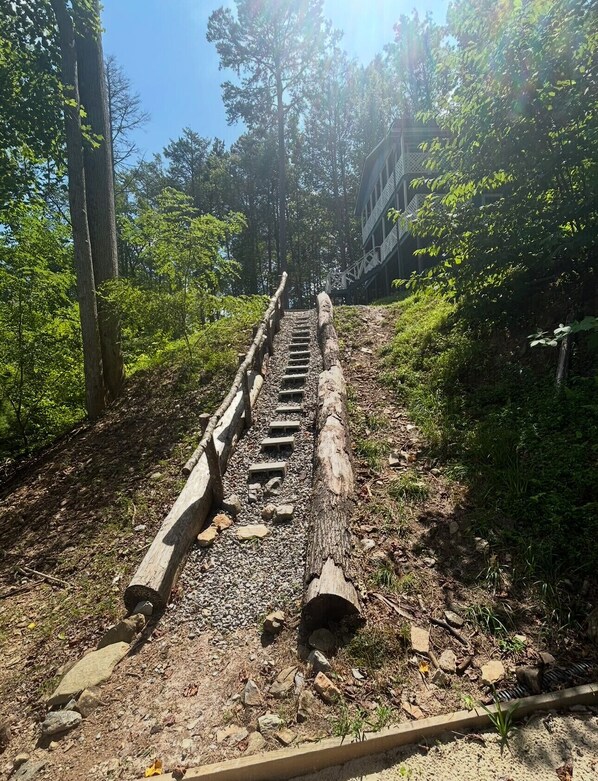 A pathway with wooden planks and stone steps leading through a wooded area.