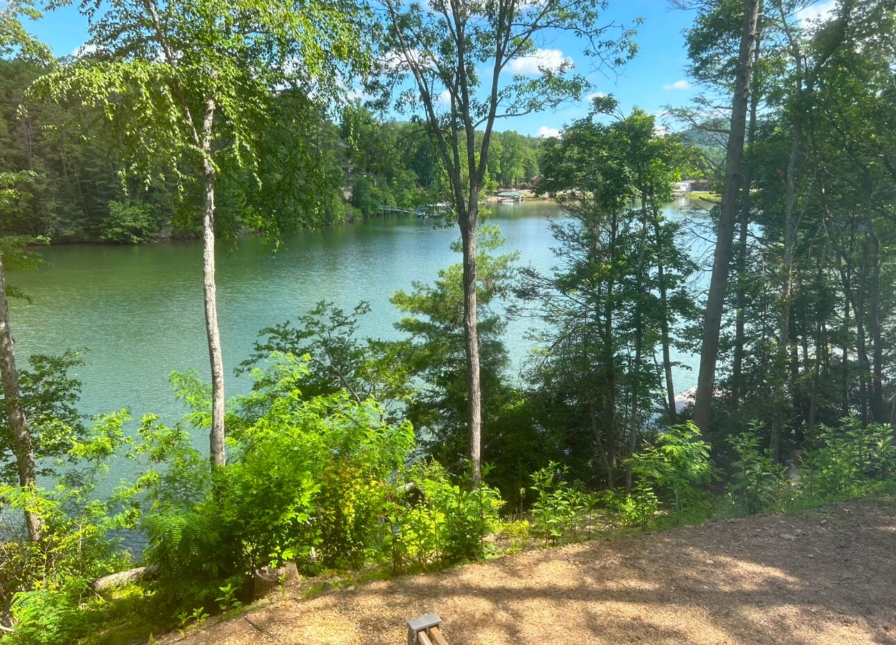 A natural landscape with a lake surrounded by trees and a dirt path leading to a wooden structure.