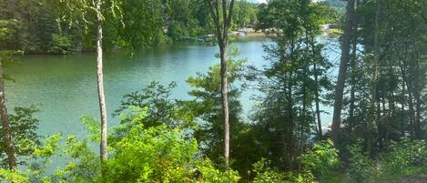 A natural landscape with a lake surrounded by trees and a dirt path leading to a wooden structure.
