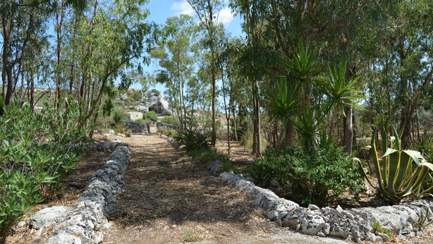 A pathway flanked by stone walls and dense vegetation, leading towards a distant building. - Cottage Sant Elia - Country Retreat  (Sicilia)