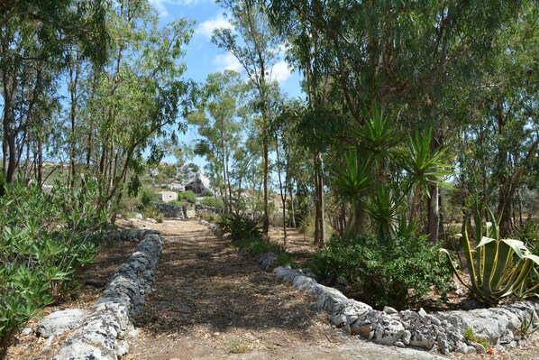 Property grounds - Cottage Sant Elia - Country Retreat (Sicilia)