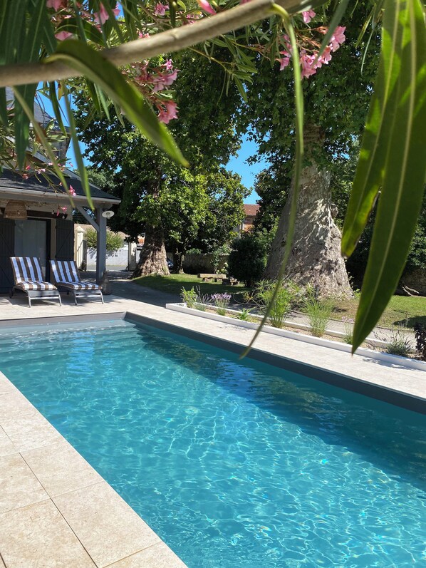 Pool - Muscadelle (Lamarque)