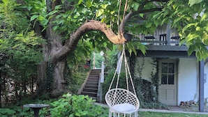 Una cadira penjada d'un arbre, una bassa per a ocells i una casa amb una escala.