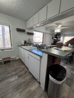 Kühlschrank, Mikrowelle, Herdplatte, Geschirrspüler