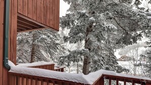 Eine Holzterrasse mit Schneematsch, umgeben von schneebedeckten Bäumen und einem Haus im Hintergrund.
