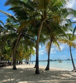 A beach with palm trees, a sandy shore, and boats in the water. - Hannabi Hotel (Boca Chica)