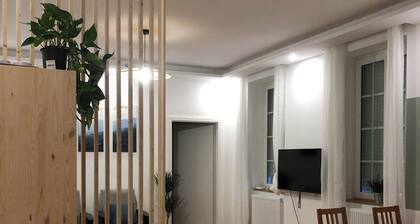 appartement de charme tout rénové et proche de toutes les commodités.