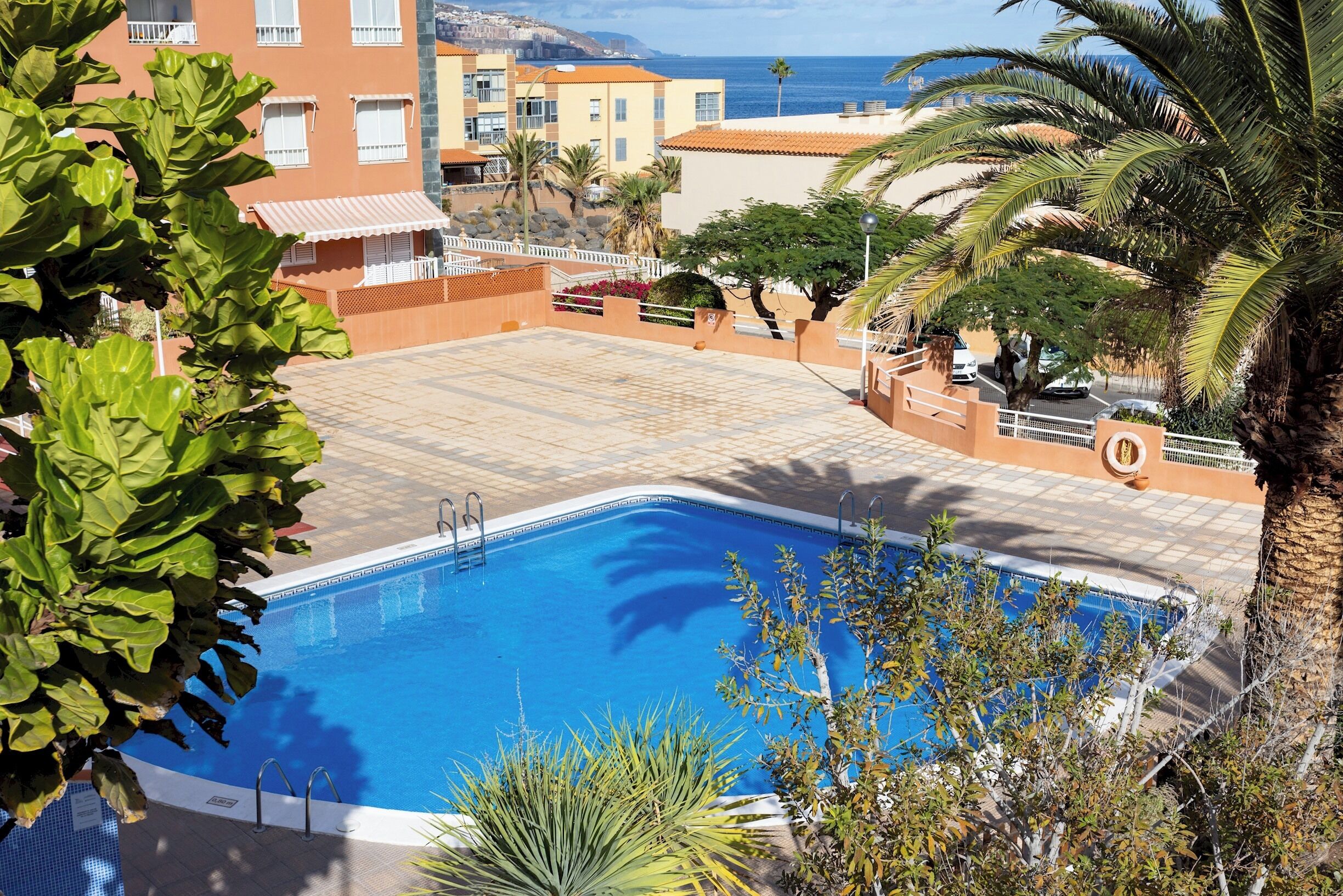 A swimming pool with a clear blue water, surrounded by a tiled deck and palm trees.