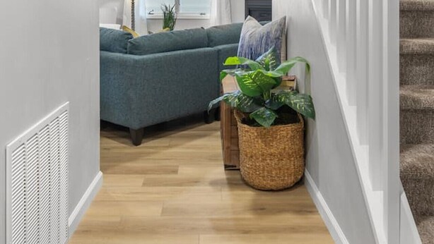 Ein Flur, der in einen Wohnbereich mit einem blauen Sofa, einer Lampe und einer Pflanze führt.