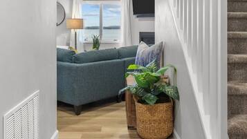 Una Smart TV, una chimenea, libros