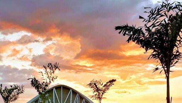 Um edifício moderno com um telhado curvo singular, rodeado por um jardim bem cuidado e um caminho sinuoso.