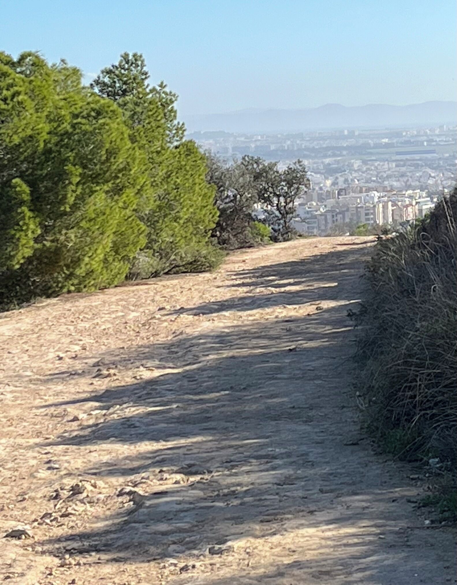Un sentier de terre qui monte une colline, avec des arbres sur la gauche et une vue sur la ville au loin.