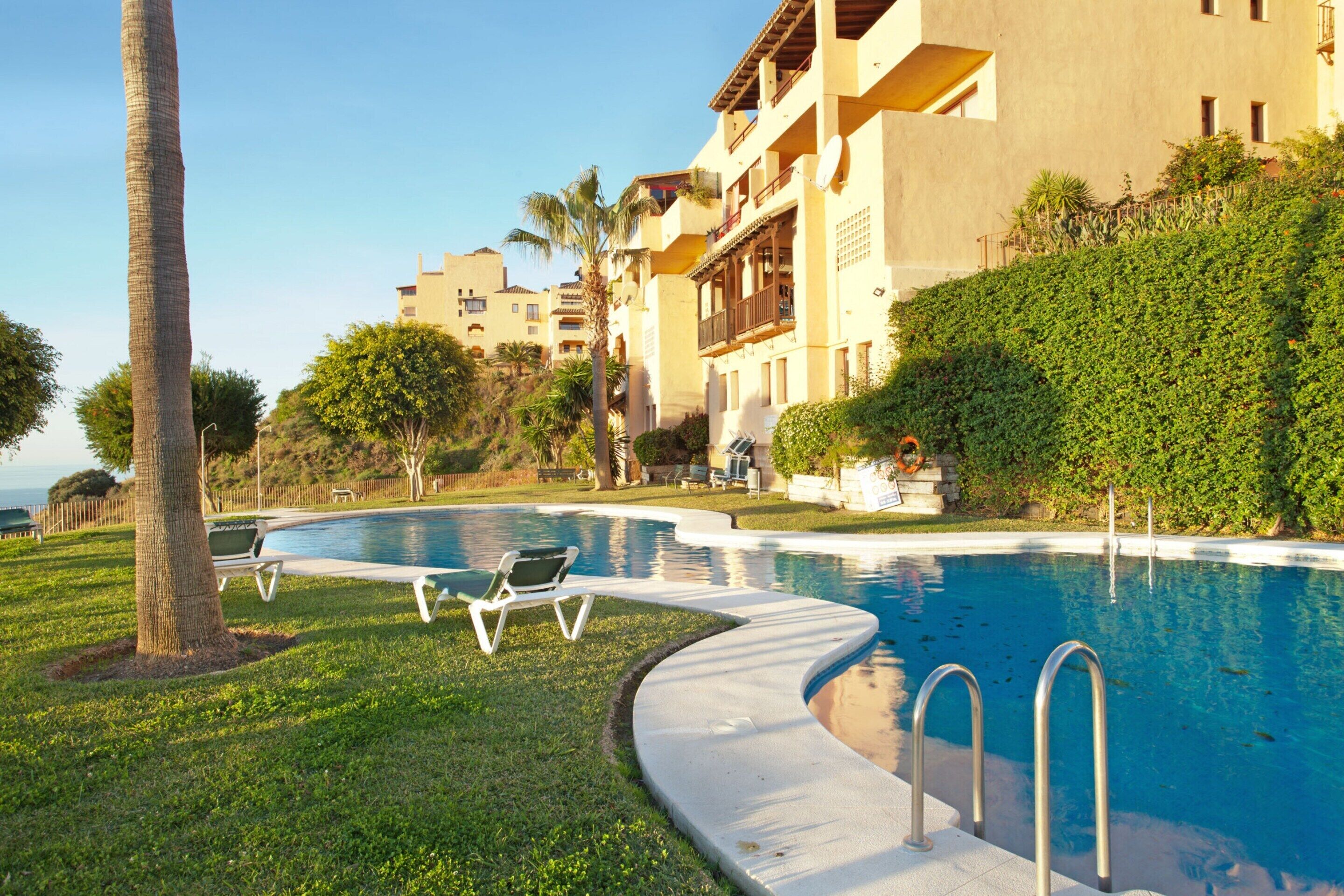 A pool area with lounge chairs, a palm tree, and a building with balconies.