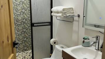 Shower, hair dryer, towels, soap