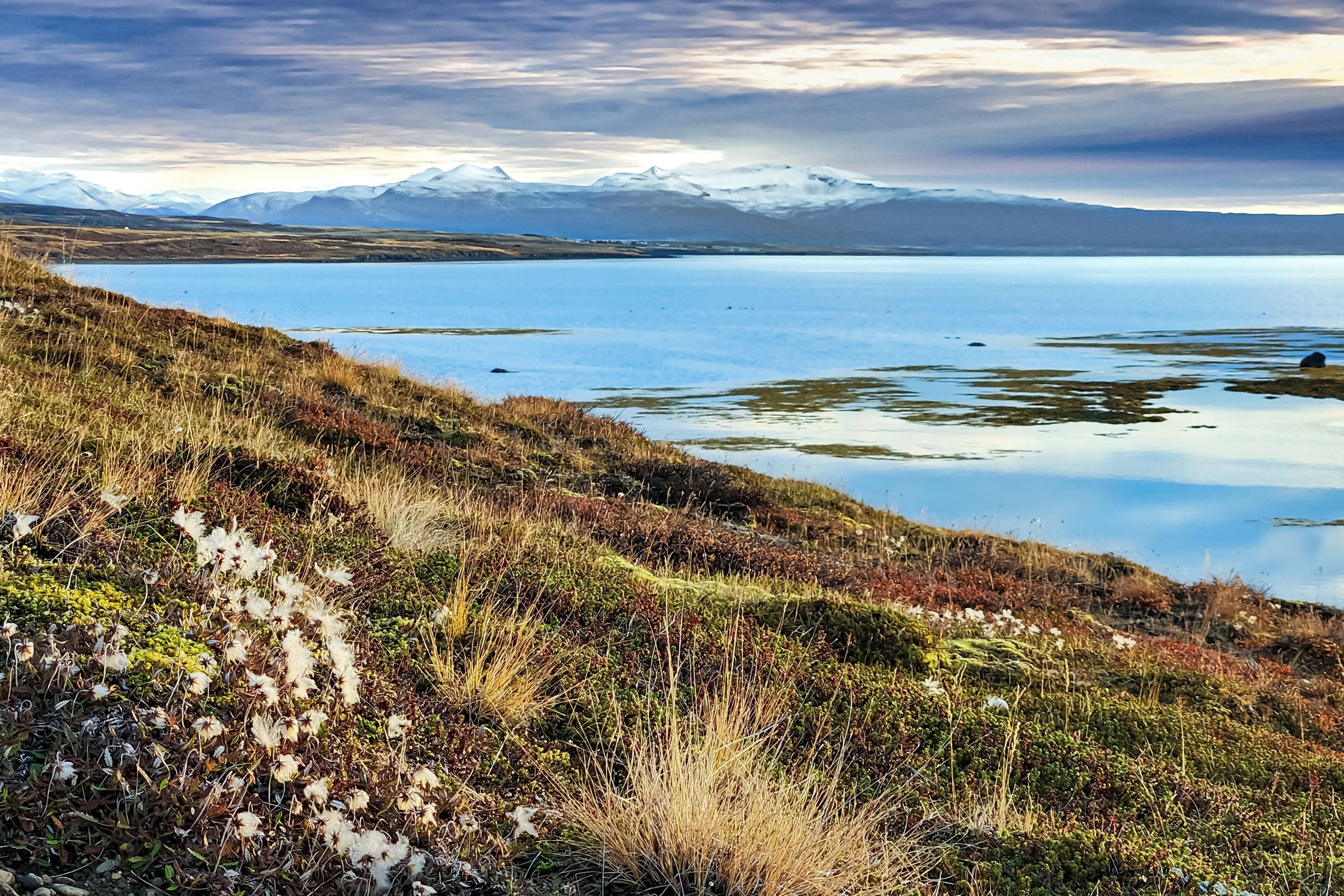 A lake with mountains in the background.