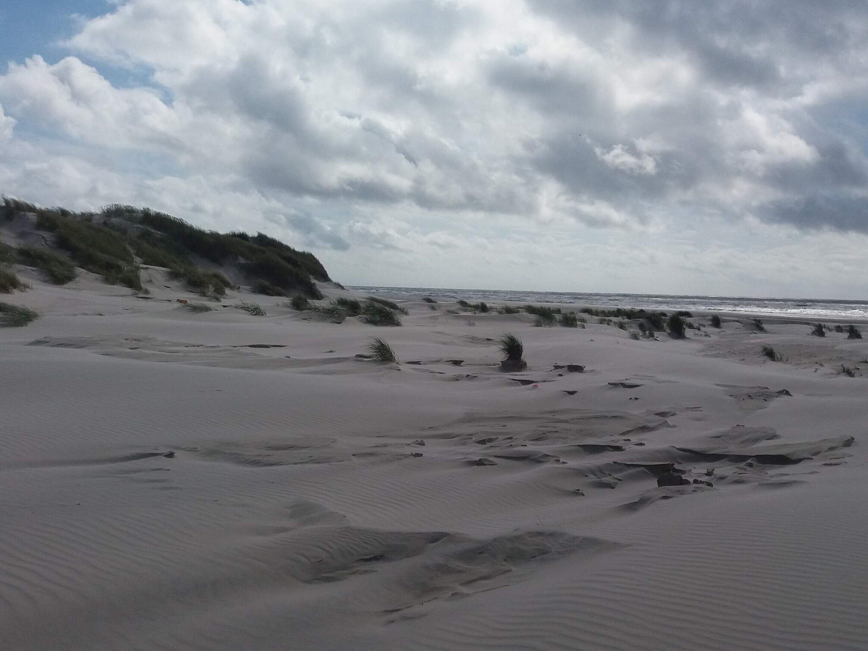 A beach with sand dunes and sparse vegetation.