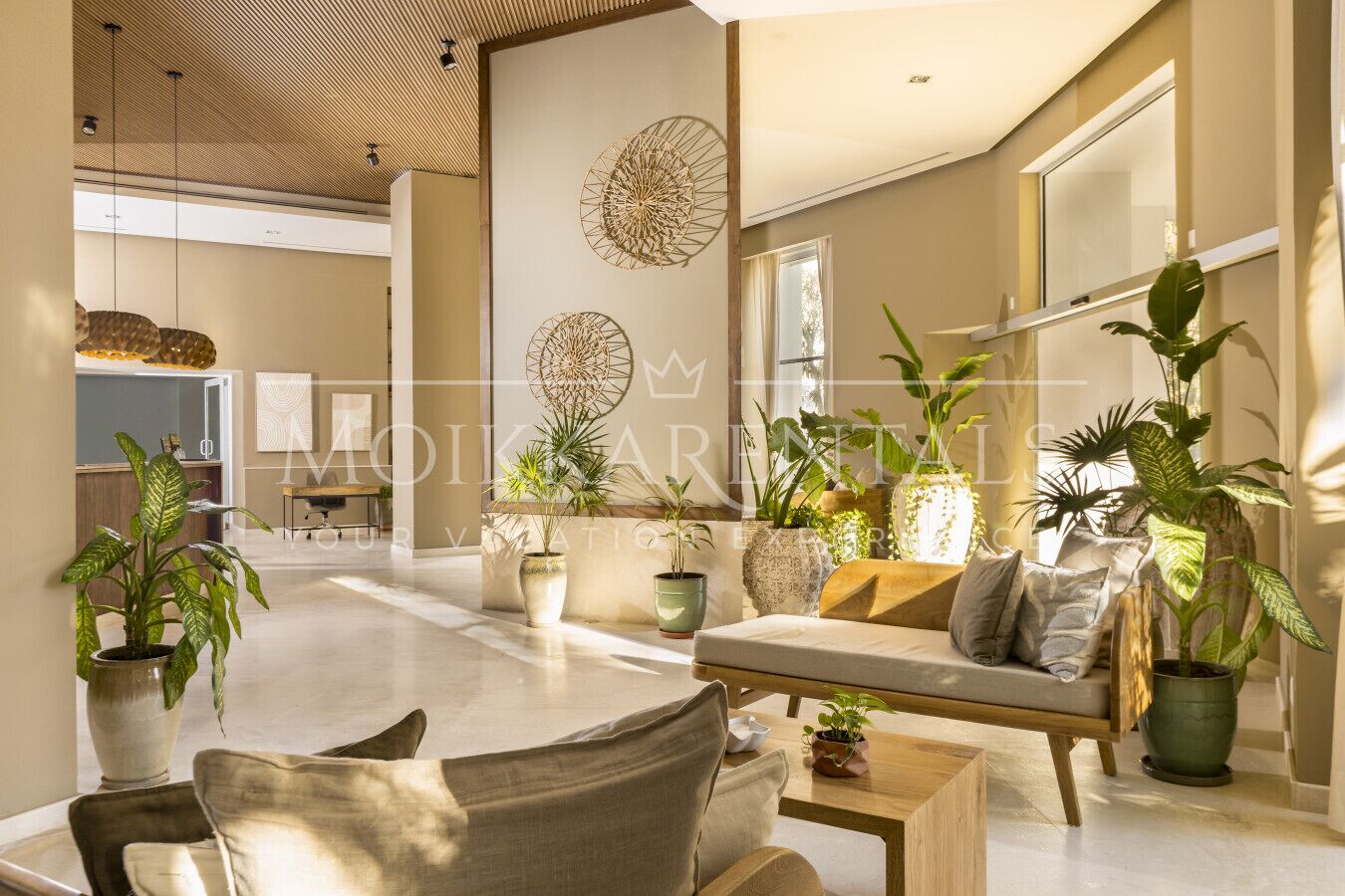 Uma sala de estar espaçosa com sofá, mesa de centro e plantas em vasos.