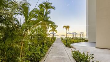 A pathway lined with palm trees leading to a building with a view of the ocean.