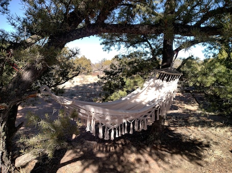 Property grounds. Charming Dragonfly Casita with WiFi in Pinehill - perfect for a getaway