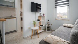 Un espace de vie compact comprenant un coin cuisine, un téléviseur à écran plat fixé au mur, une petite table ronde avec une plante, un canapé avec un plaid et une fenêtre équipée de stores.